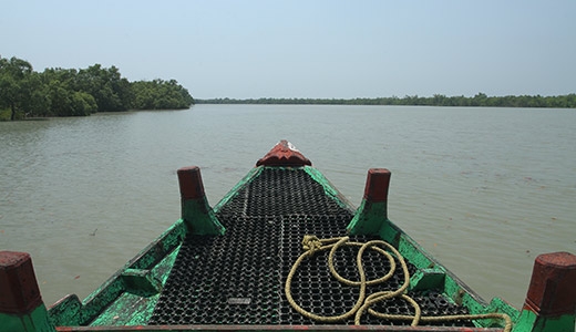 In to the Sunderbans